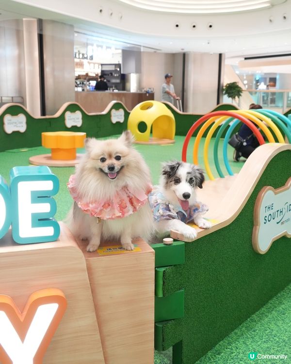 THE SOUTHSIDE-SUMMER PAWTY