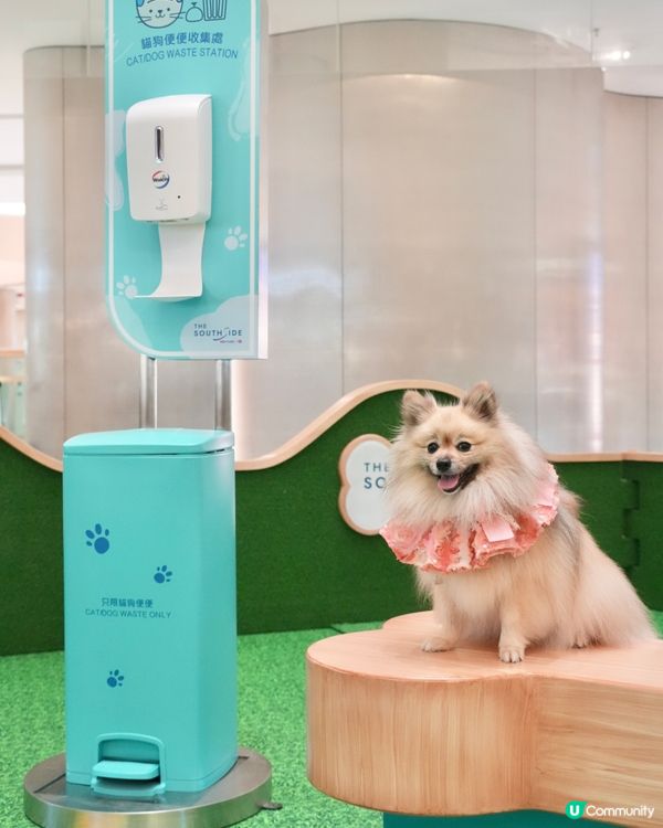 THE SOUTHSIDE-SUMMER PAWTY