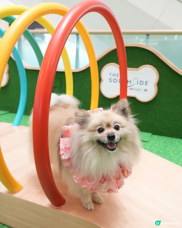 THE SOUTHSIDE-SUMMER PAWTY