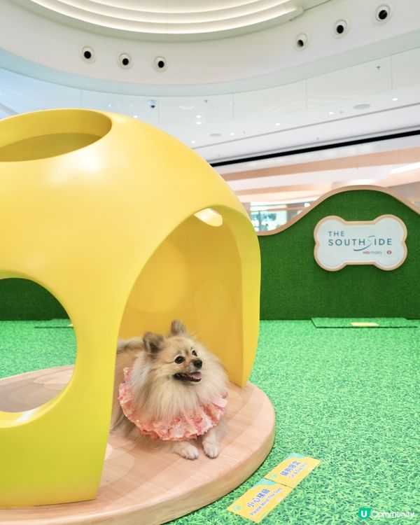 THE SOUTHSIDE-SUMMER PAWTY