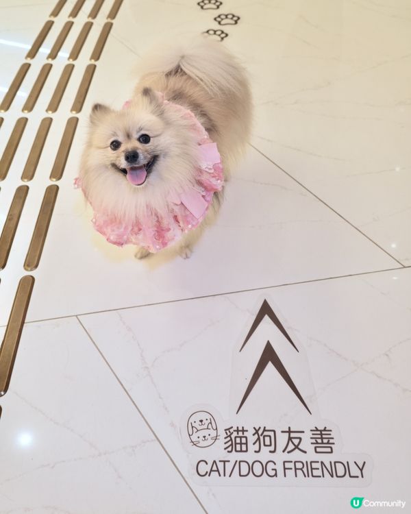 THE SOUTHSIDE-SUMMER PAWTY