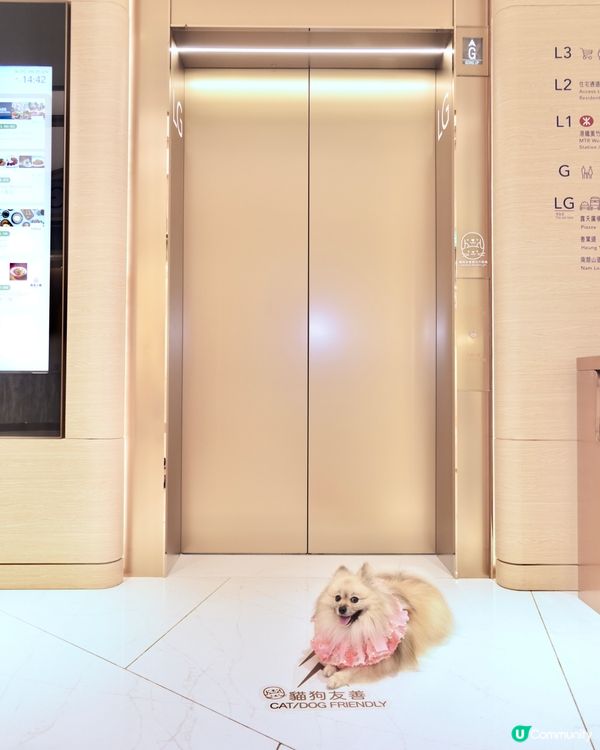 THE SOUTHSIDE-SUMMER PAWTY