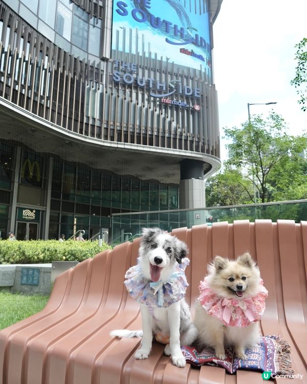 THE SOUTHSIDE-SUMMER PAWTY