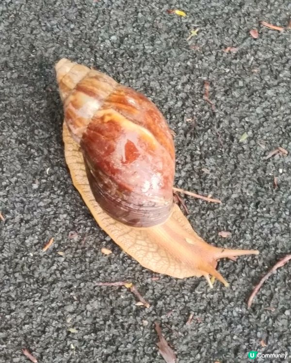 慢慢有排行