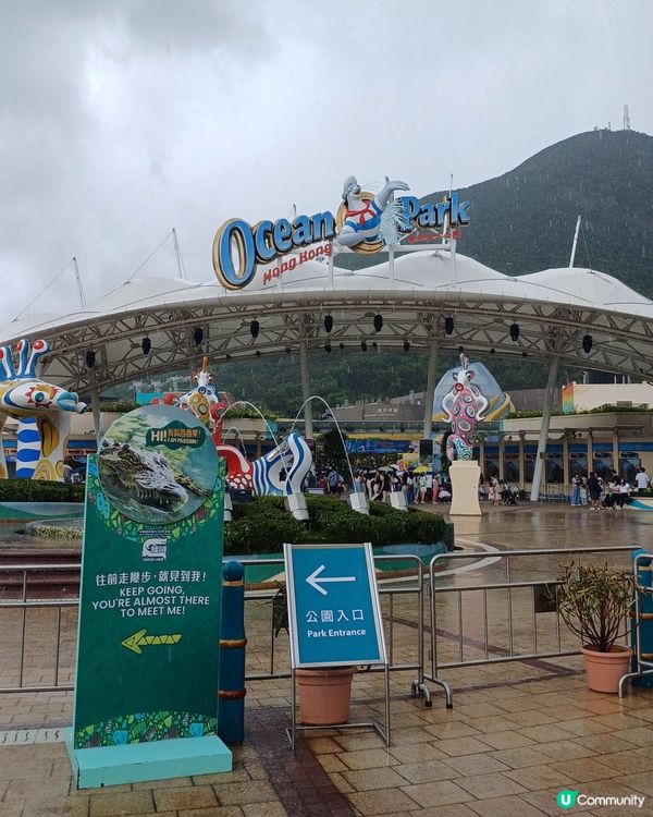 海洋公園一日遊是個絕佳選擇！可以欣賞海洋生物、刺激的遊樂設施