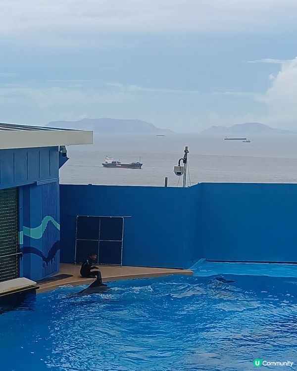 海洋公園一日遊是個絕佳選擇！可以欣賞海洋生物、刺激的遊樂設施