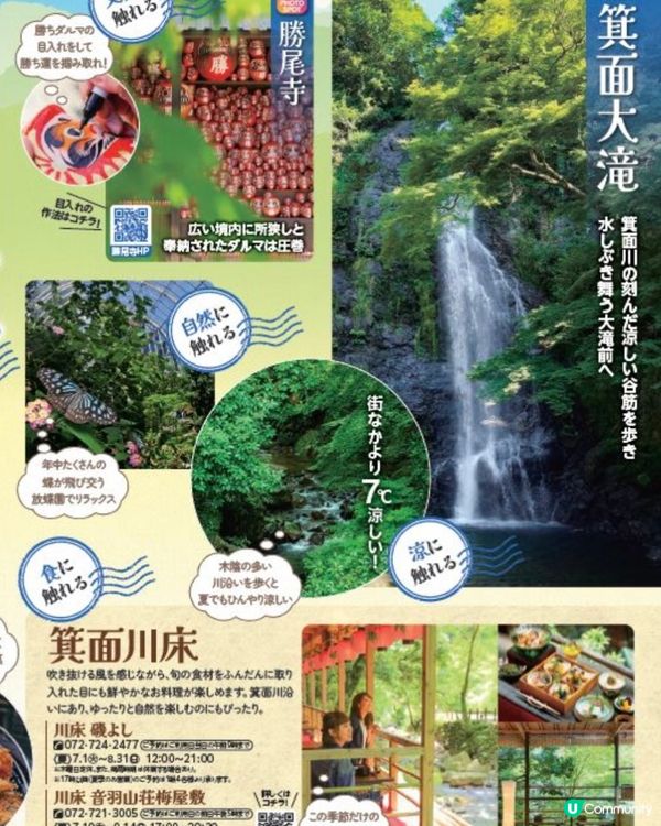 夏日限定·閃爆箕面公園😎