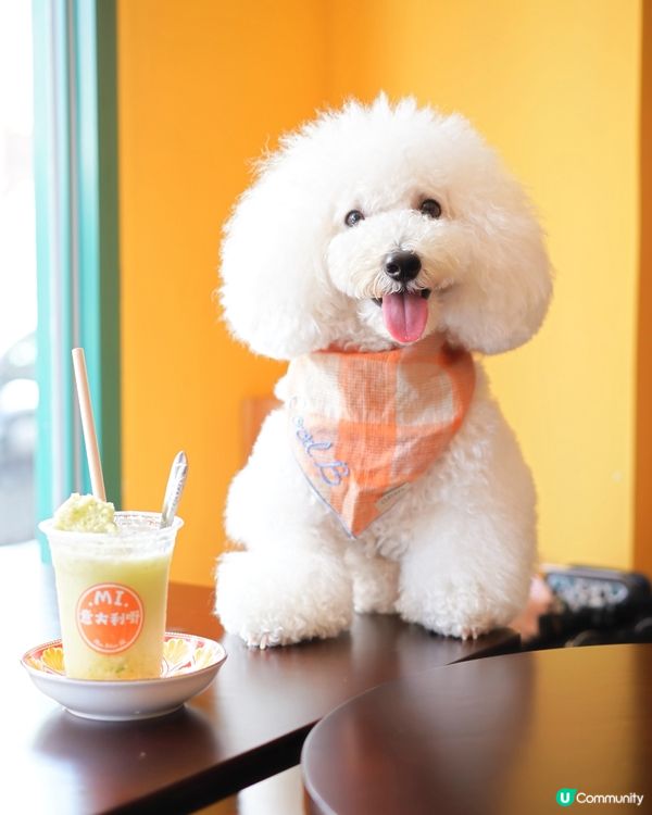 一秒到意大利 小店出品高質用心 