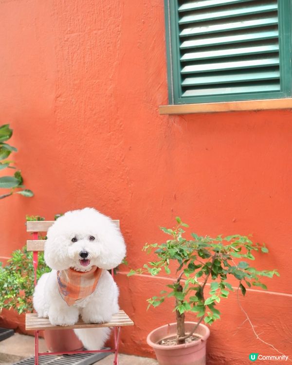 一秒到意大利 小店出品高質用心 