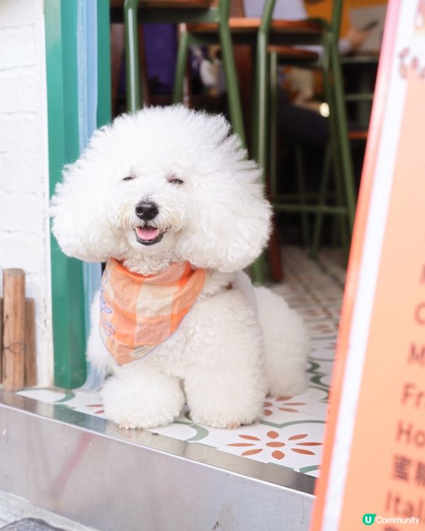 一秒到意大利 小店出品高質用心 