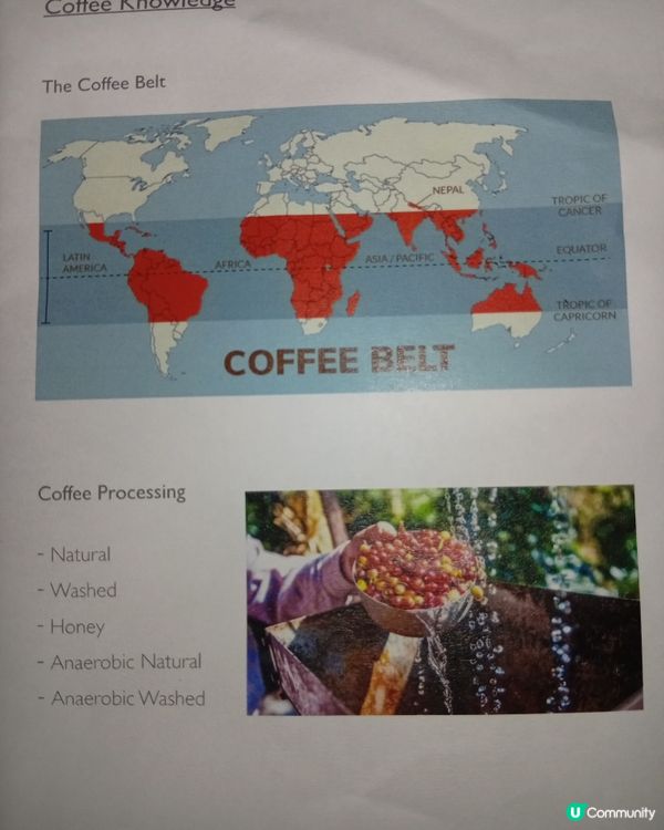 咖啡迷必讀！☕學沖咖啡全攻略！