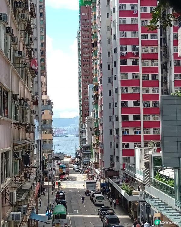 科士街打卡熱點📸！內地遊客都讚靚🤩！