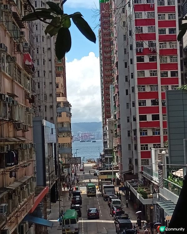 科士街打卡熱點📸！內地遊客都讚靚🤩！