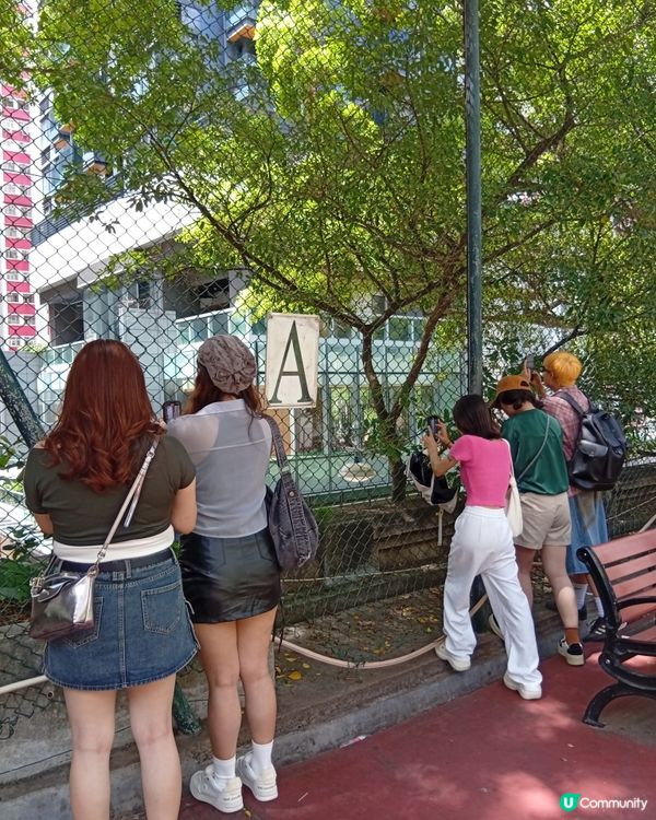 科士街打卡熱點📸！內地遊客都讚靚🤩！