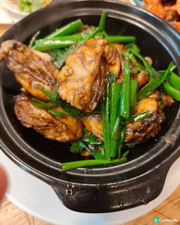 【豪門小菜火鍋🤤！九龍城街坊價歎海鮮🦞】