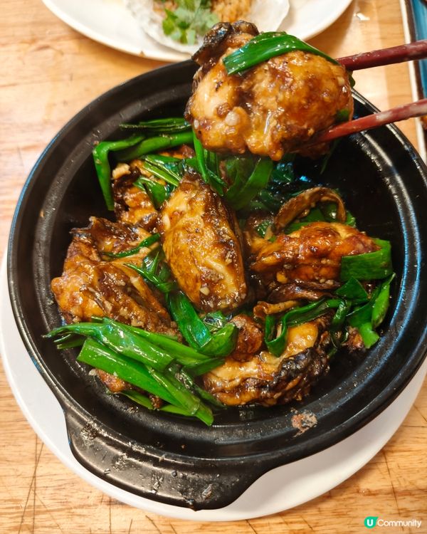 【豪門小菜火鍋🤤！九龍城街坊價歎海鮮🦞】