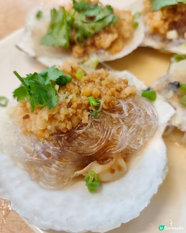 【豪門小菜火鍋🤤！九龍城街坊價歎海鮮🦞】