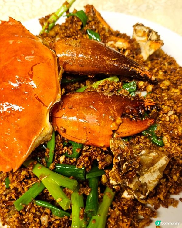 避風塘辣蟹🦀！灣仔夜繽紛，正呀喂！😋