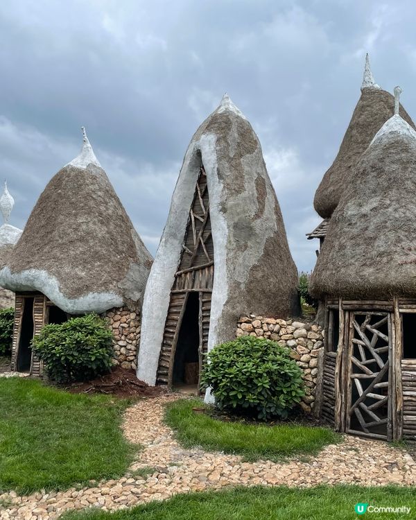 願你走進忘憂世界 與我一起走花路🦋🍄🌹🌺🌸🌼🪻🪷🌻🌷💐