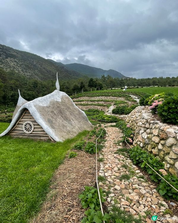 願你走進忘憂世界 與我一起走花路🦋🍄🌹🌺🌸🌼🪻🪷🌻🌷💐