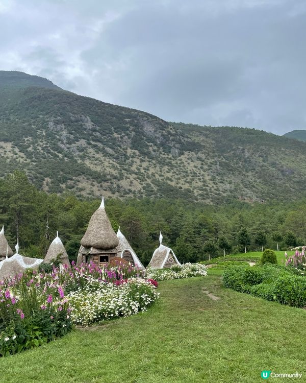 願你走進忘憂世界 與我一起走花路🦋🍄🌹🌺🌸🌼🪻🪷🌻🌷💐