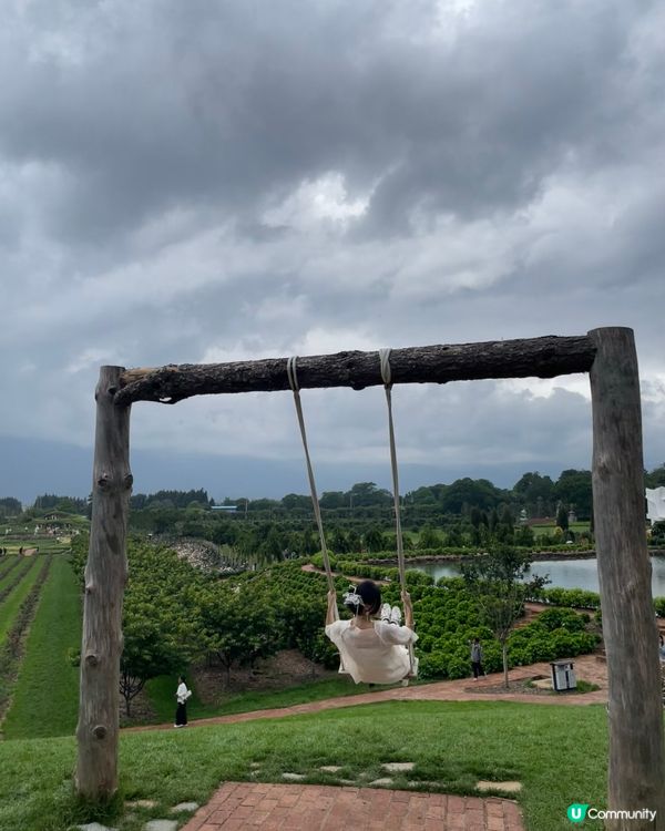 願你走進忘憂世界 與我一起走花路🦋🍄🌹🌺🌸🌼🪻🪷🌻🌷💐