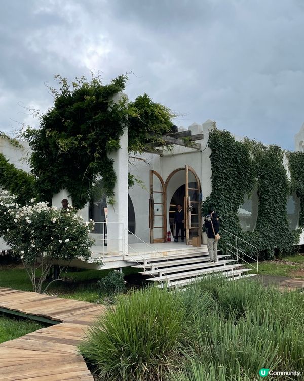 願你走進忘憂世界 與我一起走花路🦋🍄🌹🌺🌸🌼🪻🪷🌻🌷💐