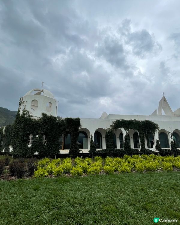 願你走進忘憂世界 與我一起走花路🦋🍄🌹🌺🌸🌼🪻🪷🌻🌷💐