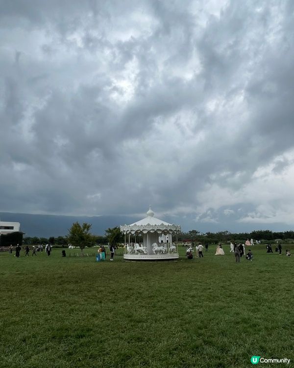 願你走進忘憂世界 與我一起走花路🦋🍄🌹🌺🌸🌼🪻🪷🌻🌷💐