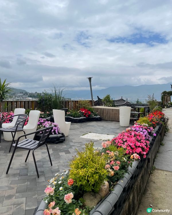 願你走進忘憂世界 與我一起走花路🦋🍄🌹🌺🌸🌼🪻🪷🌻🌷💐