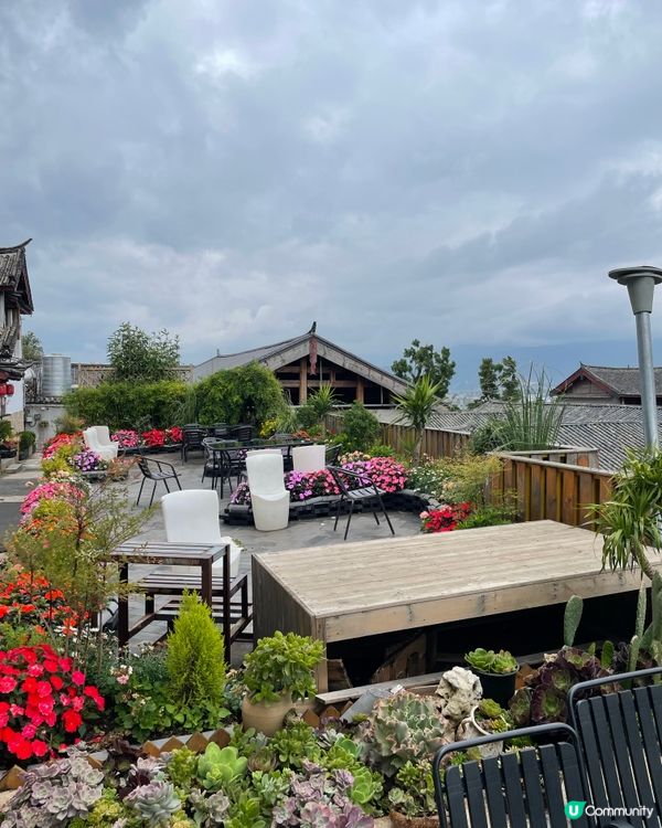 願你走進忘憂世界 與我一起走花路🦋🍄🌹🌺🌸🌼🪻🪷🌻🌷💐