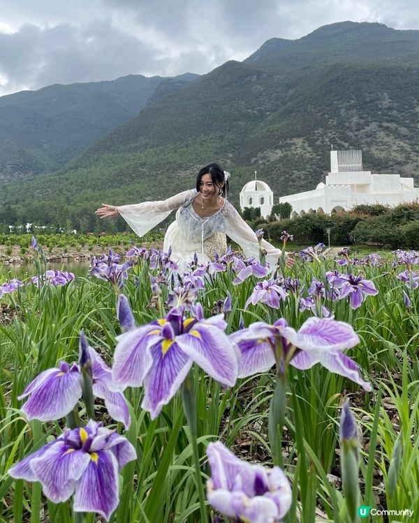 願你走進忘憂世界 與我一起走花路🦋🍄🌹🌺🌸🌼🪻🪷🌻🌷💐