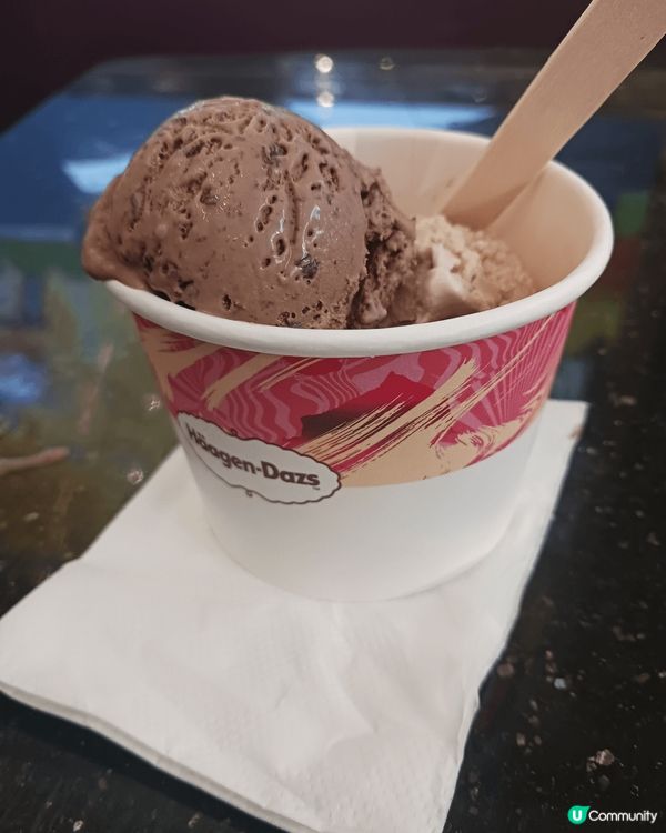 Häagen-Dazs特濃朱古力碎碎