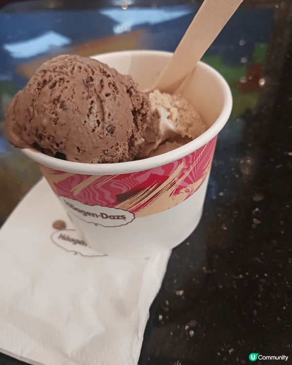 Häagen-Dazs特濃朱古力碎碎
