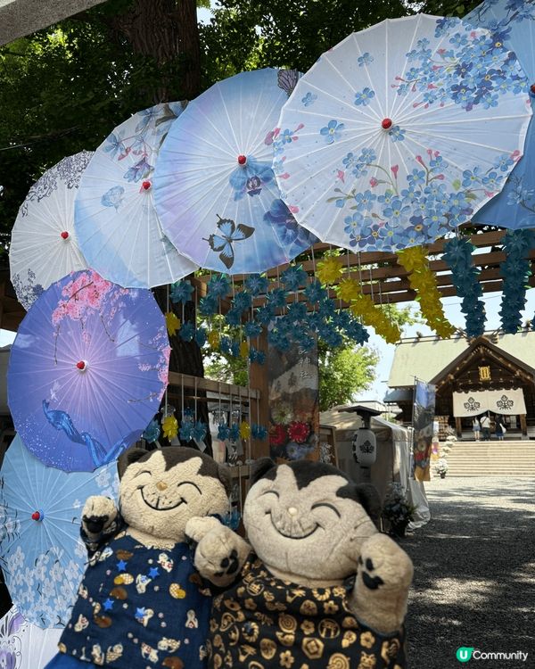 北海道諏訪神社,有好多特別御守.