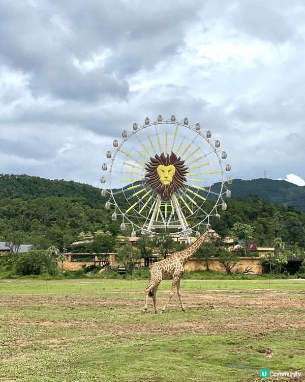 全新亮點搶先看｜清遠長隆森林王國 2025 必玩推薦