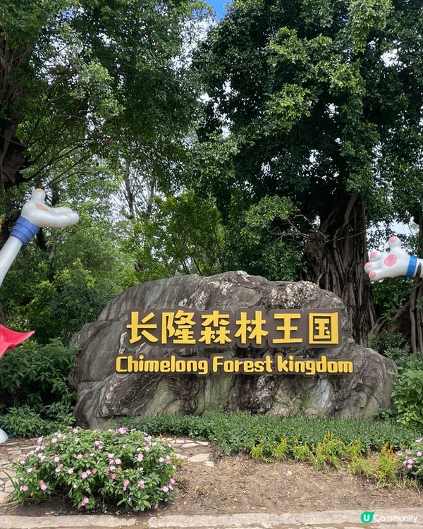 全新亮點搶先看｜清遠長隆森林王國 2025 必玩推薦