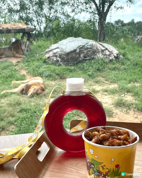 全新亮點搶先看｜清遠長隆森林王國 2025 必玩推薦