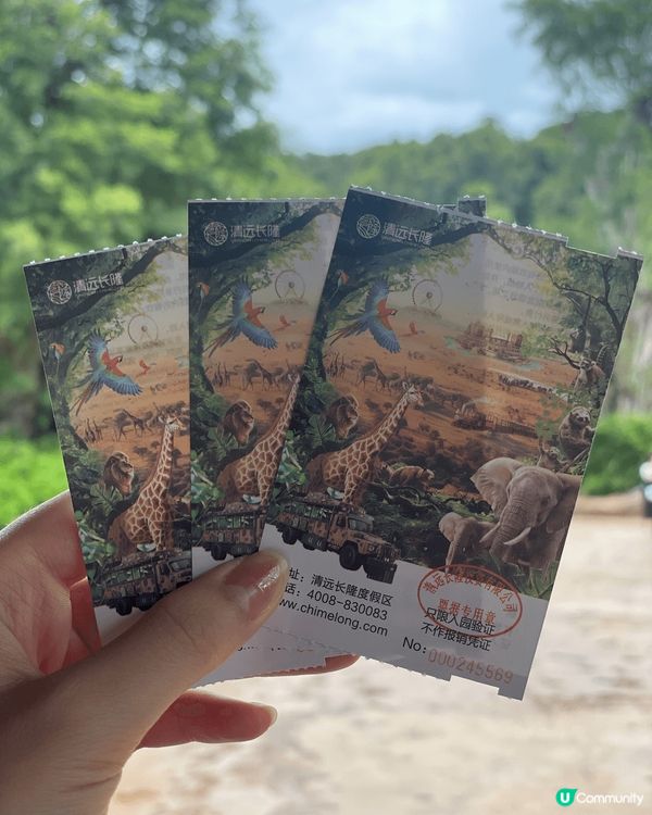 全新亮點搶先看｜清遠長隆森林王國 2025 必玩推薦