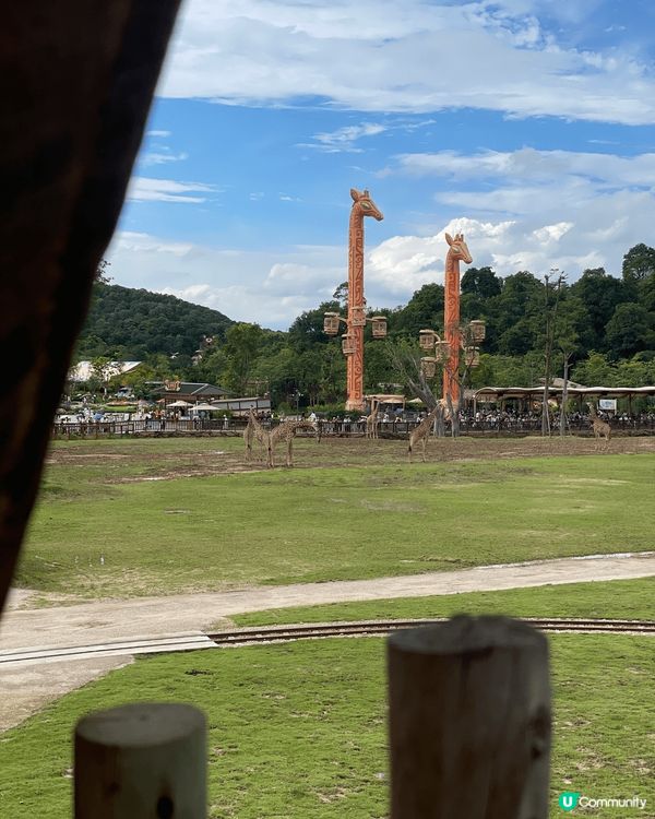 全新亮點搶先看｜清遠長隆森林王國 2025 必玩推薦