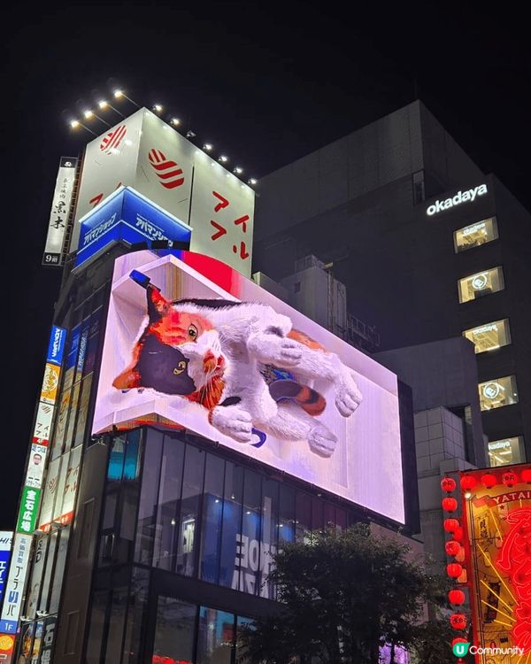日本之旅。刺激好玩。食得好。住得好。
