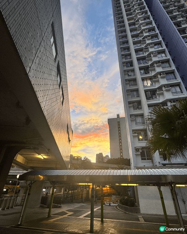 昨天傍晚和家人經過兒時居住的葵芳邨偶遇夕陽。夕陽的出現，常常...