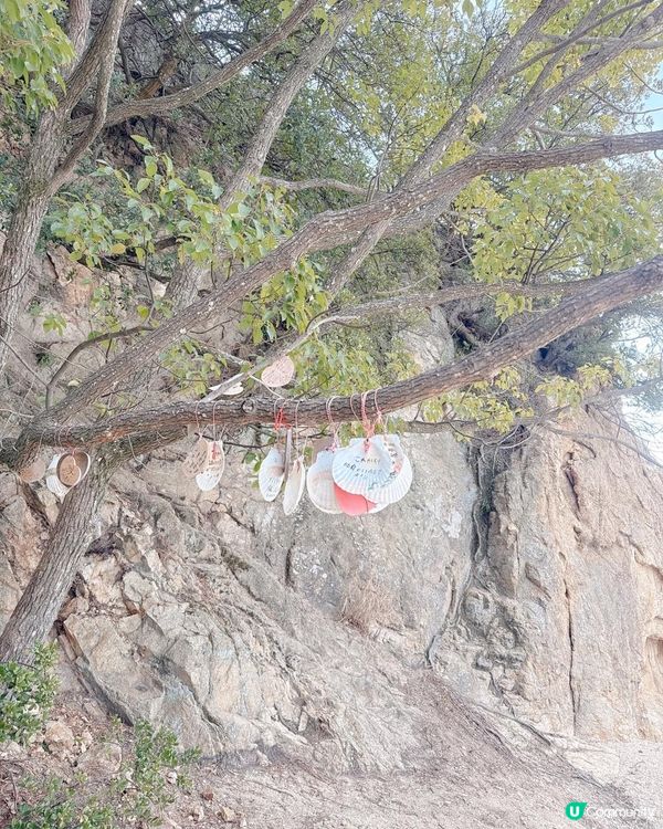 小豆島天使之路 👼  尋夢之旅 👣