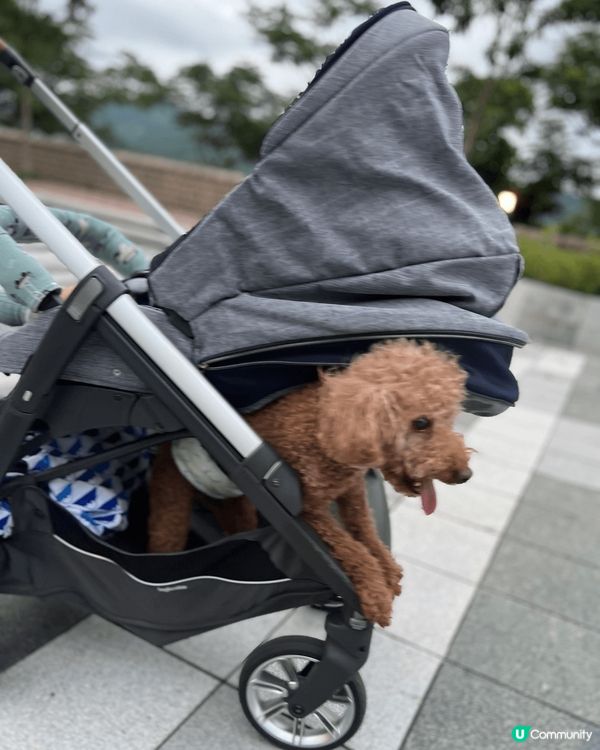 西貢，環境舒服，便有好多唔同嘅嘢食及夜晚好多唔同嘅西餐廳裝修...