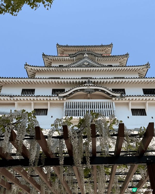 推薦去日本的唐律，人不多但是很多自然的風景和有歷史價值的城堡...