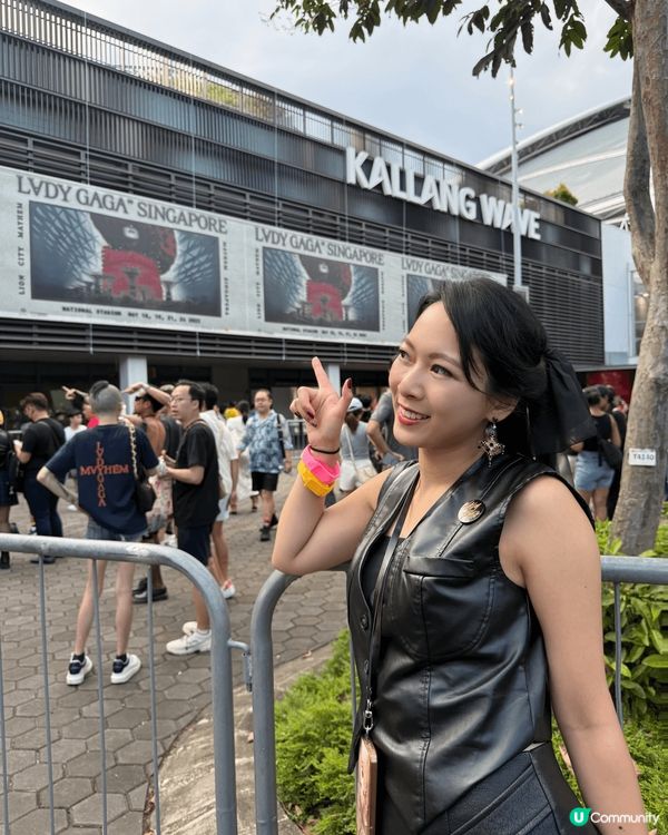 新加坡除咗有魚尾獅，仲有一連串嘅國際巨星演唱會陸續喺今年舉行...