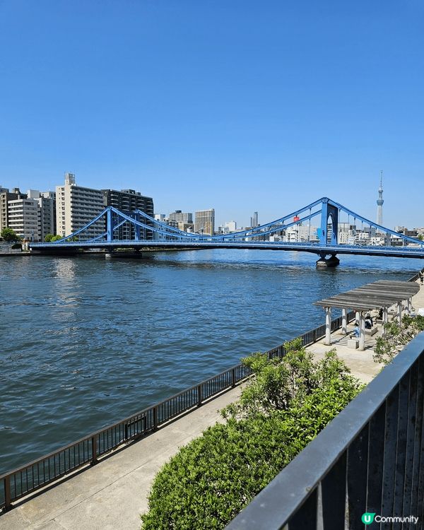 日本東京清澄白河公園景色同埋咖啡店 真係好值得去機一個女又點...