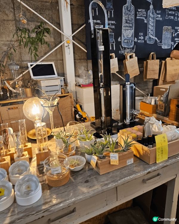 日本東京清澄白河公園景色同埋咖啡店 真係好值得去機一個女又點...