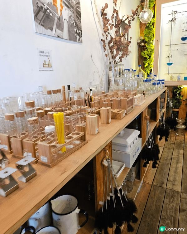 日本東京清澄白河公園景色同埋咖啡店 真係好值得去機一個女又點...