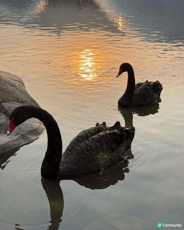 啱啱去完山西太原返嚟，呢個晉陽古城真係充滿驚喜！晨咁早衝去晉...